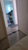 91风流-557186/2_557186.jpeg