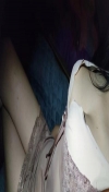 91风流-566513/2_566513.jpg